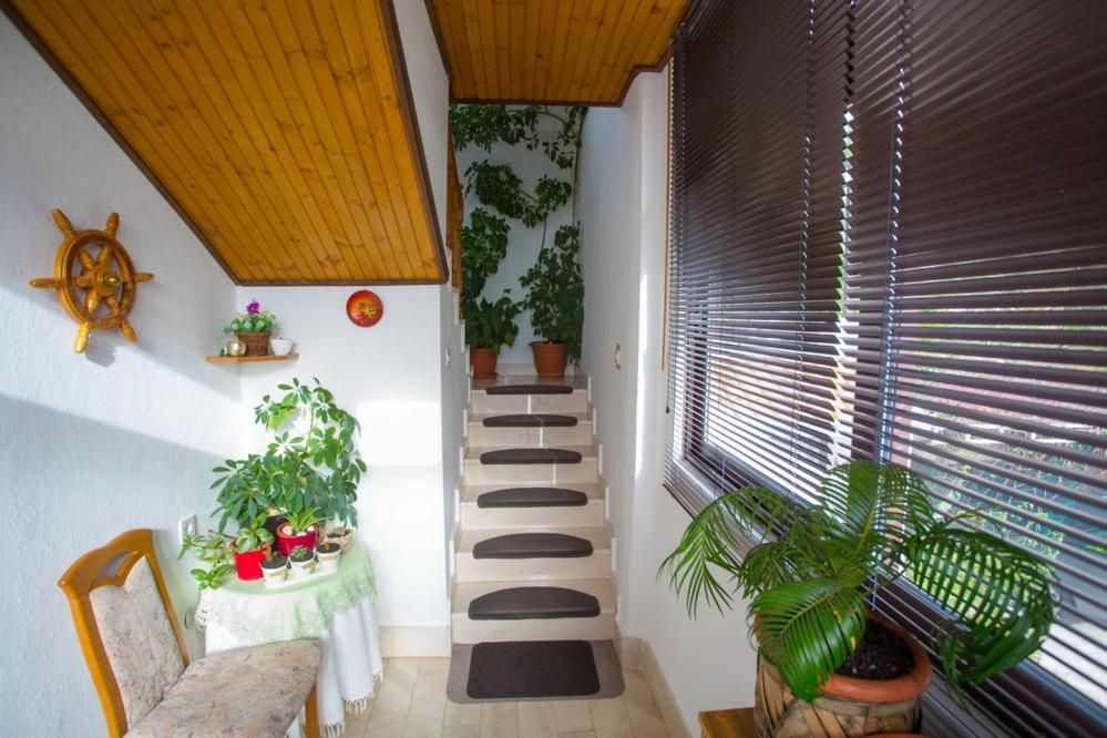 Apartments Tanja Подгора Экстерьер фото