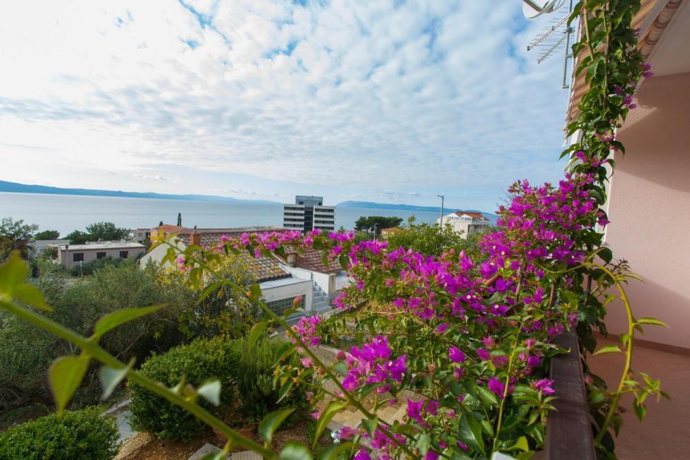 Apartments Tanja Подгора Экстерьер фото